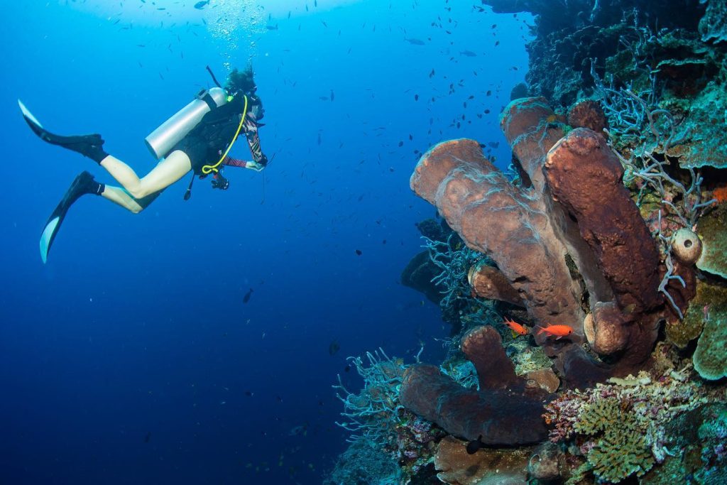togeans-diving-01-environment-dive-sites