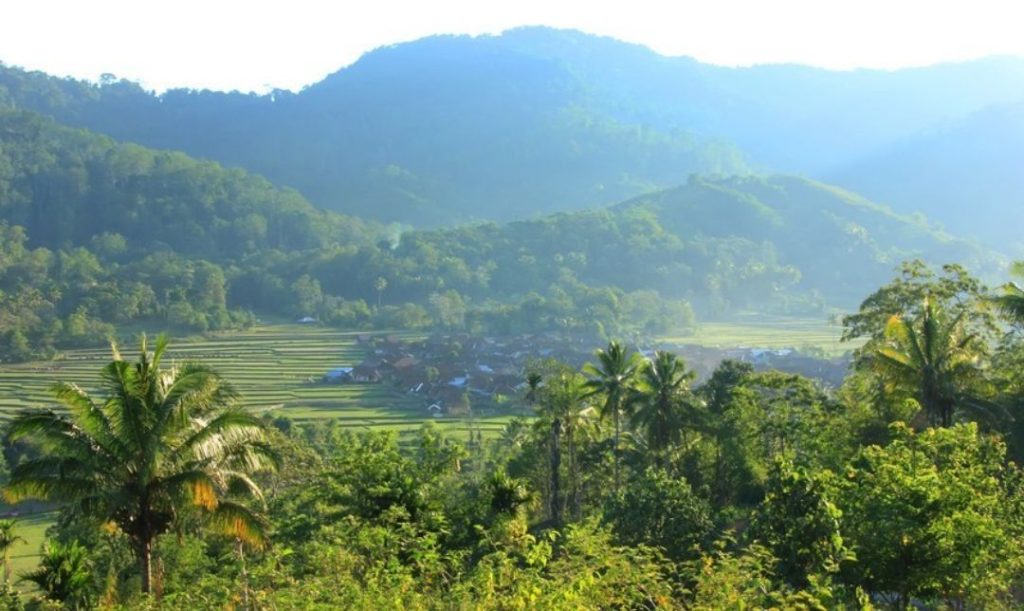 Desain tanpa judul - 2025-11-21T041601.051